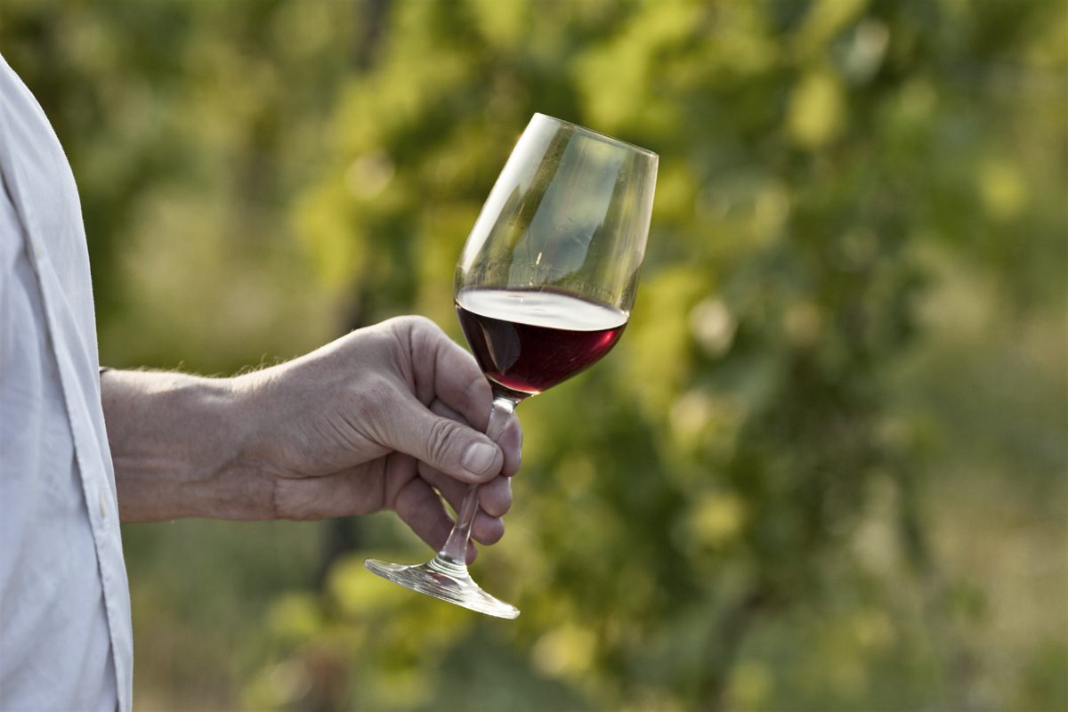 Rotwein im Glas vor Weinreben